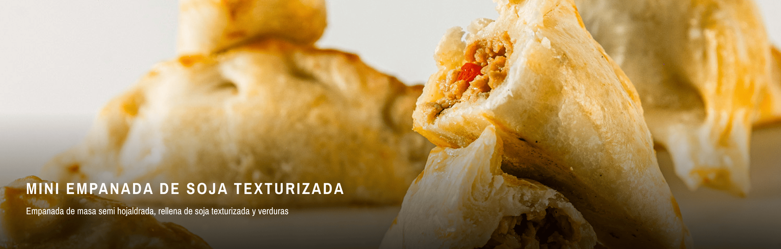 MINI EMPANADA DE SOJA TEXTURIZADA-1